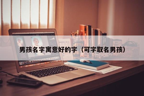 男孩名字寓意好的字（可字取名男孩）