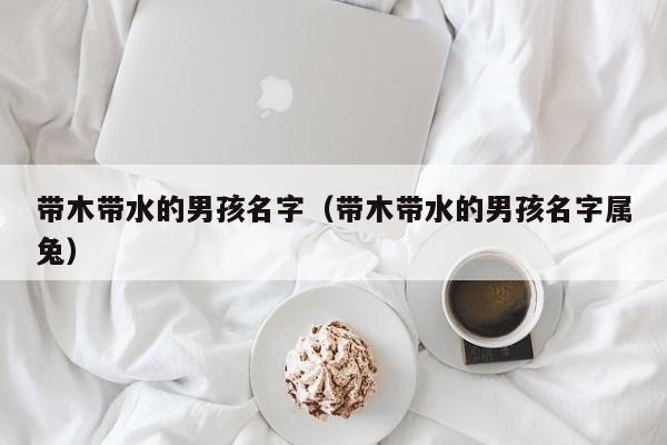 带木带水的男孩名字（带木带水的男孩名字属兔）
