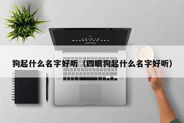 狗起什么名字好听（四眼狗起什么名字好听）