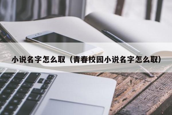 小说名字怎么取（青春校园小说名字怎么取）