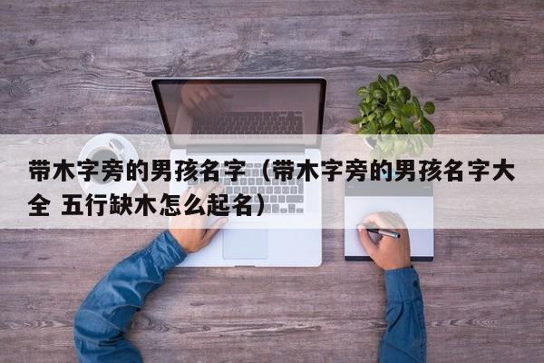 带木字旁的男孩名字（带木字旁的男孩名字大全 五行缺木怎么起名）