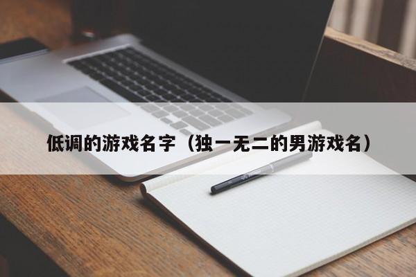低调的游戏名字（独一无二的男游戏名）