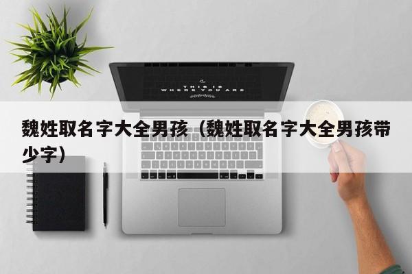 魏姓取名字大全男孩（魏姓取名字大全男孩带少字）