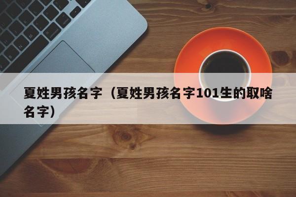 夏姓男孩名字（夏姓男孩名字101生的取啥名字）