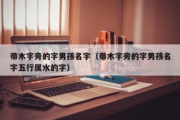 带木字旁的字男孩名字（带木字旁的字男孩名字五行属水的字）