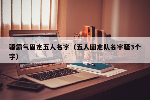 骚霸气固定五人名字（五人固定队名字骚3个字）