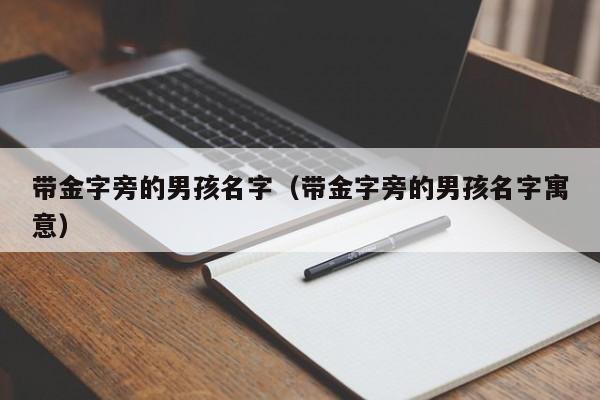 带金字旁的男孩名字（带金字旁的男孩名字寓意）