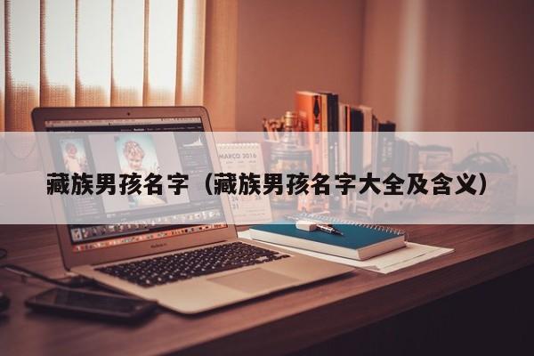 藏族男孩名字（藏族男孩名字大全及含义）