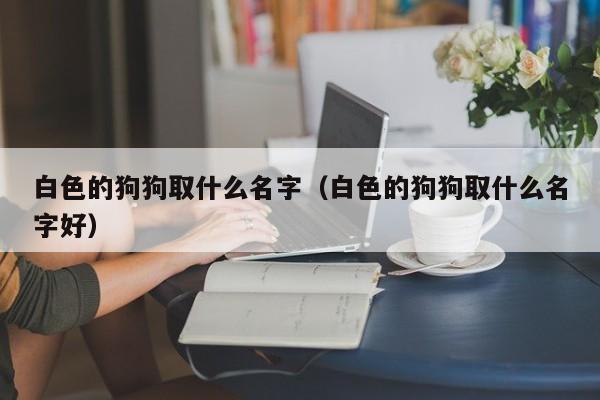 白色的狗狗取什么名字（白色的狗狗取什么名字好）