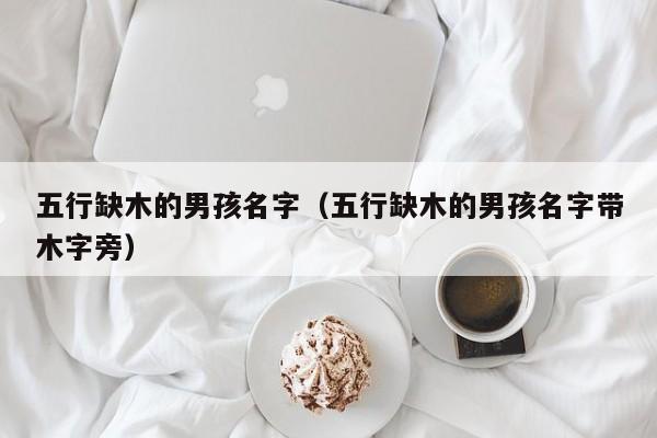 五行缺木的男孩名字（五行缺木的男孩名字带木字旁）