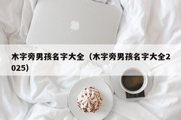 木字旁男孩名字大全（木字旁男孩名字大全2025）