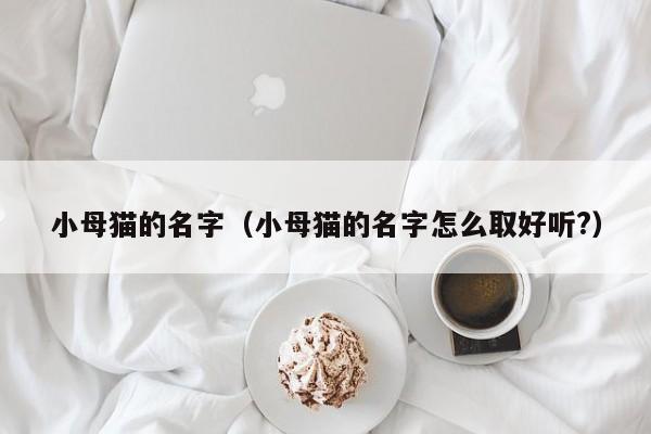 小母猫的名字（小母猫的名字怎么取好听?）