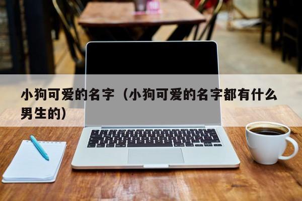 小狗可爱的名字（小狗可爱的名字都有什么 男生的）