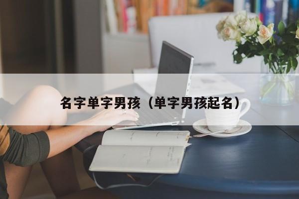 名字单字男孩（单字男孩起名）