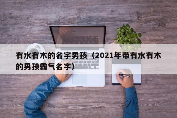 有水有木的名字男孩（2021年带有水有木的男孩霸气名字）