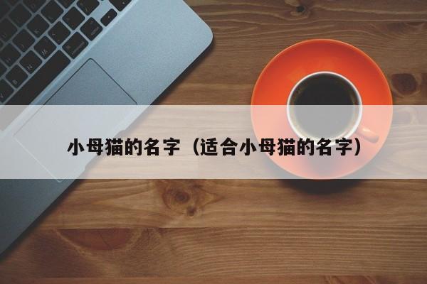 小母猫的名字（适合小母猫的名字）