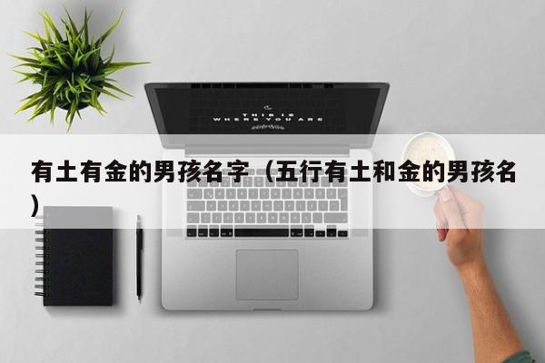 有土有金的男孩名字（五行有土和金的男孩名）