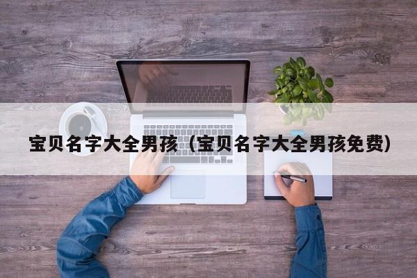 宝贝名字大全男孩（宝贝名字大全男孩免费）