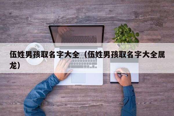 伍姓男孩取名字大全（伍姓男孩取名字大全属龙）