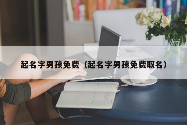 起名字男孩免费（起名字男孩免费取名）