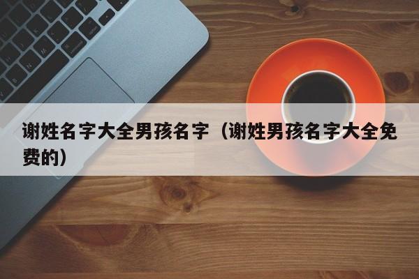 谢姓名字大全男孩名字（谢姓男孩名字大全免费的）
