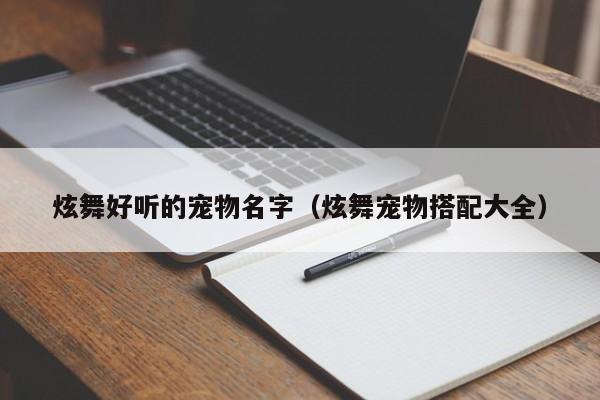 炫舞好听的宠物名字（炫舞宠物搭配大全）