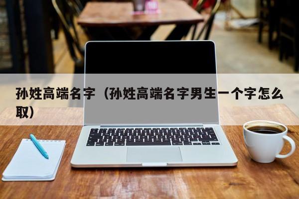 孙姓高端名字（孙姓高端名字男生一个字怎么取）